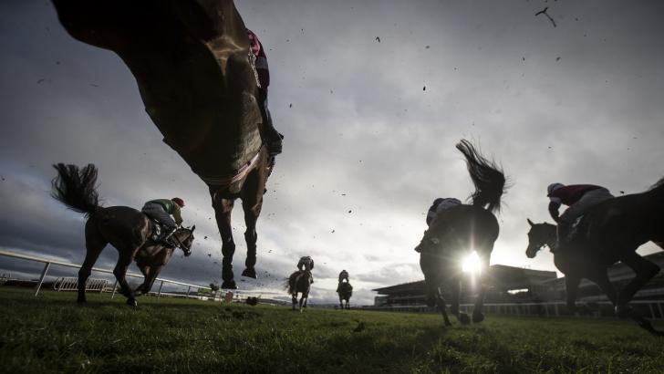 Horses at Leopardstown